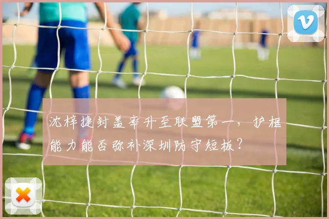 沈梓捷封盖率升至联盟第一，护框能力能否弥补深圳防守短板？